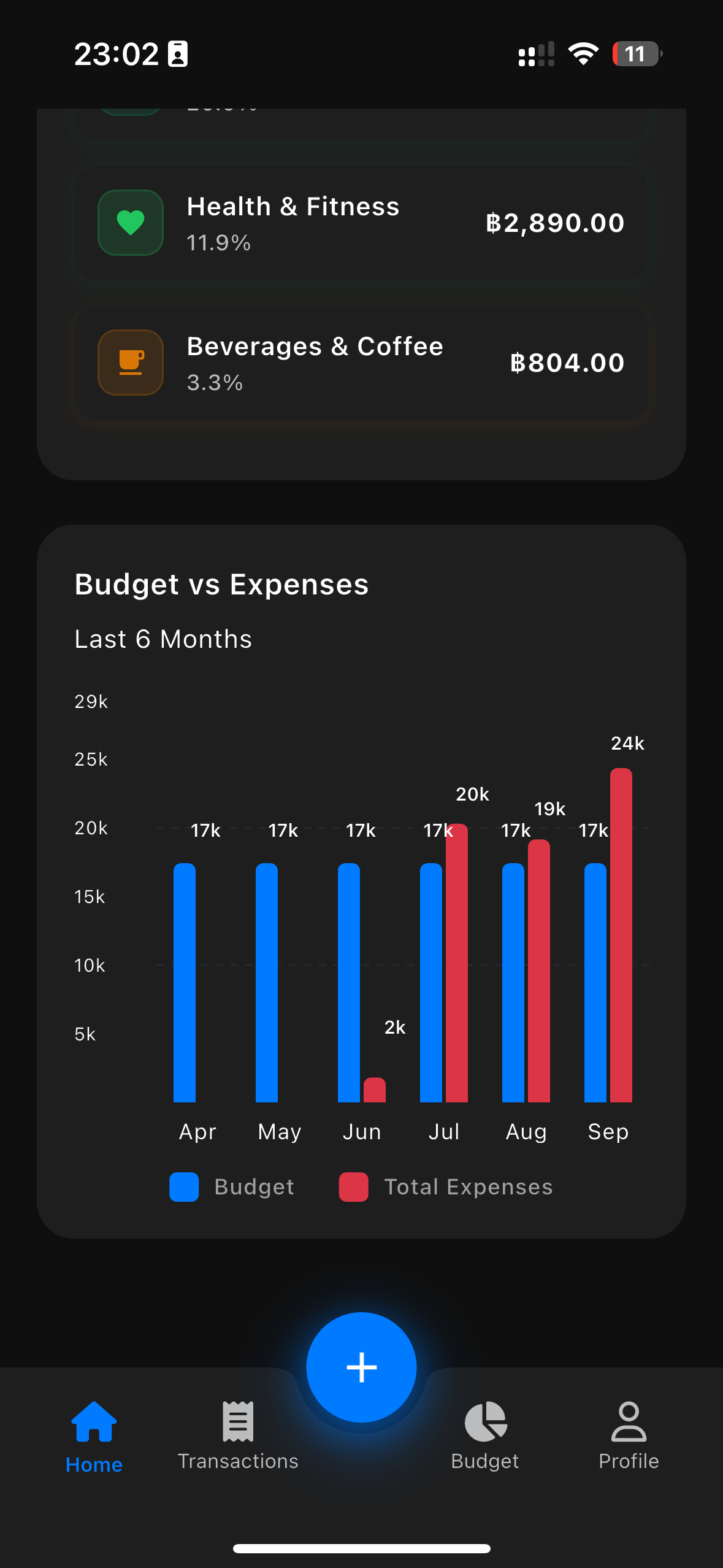 Budget Overview Dark Theme