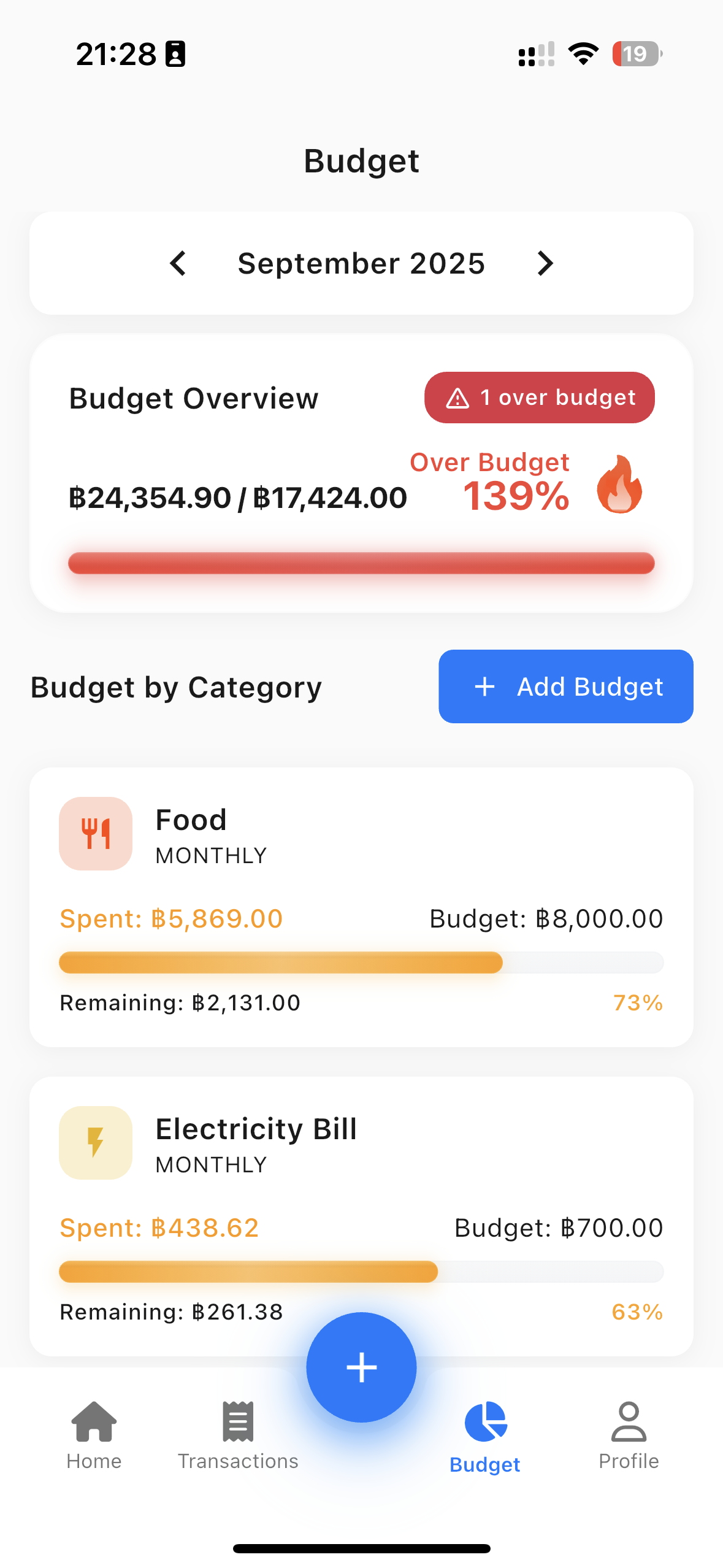 Budget Page Light Theme