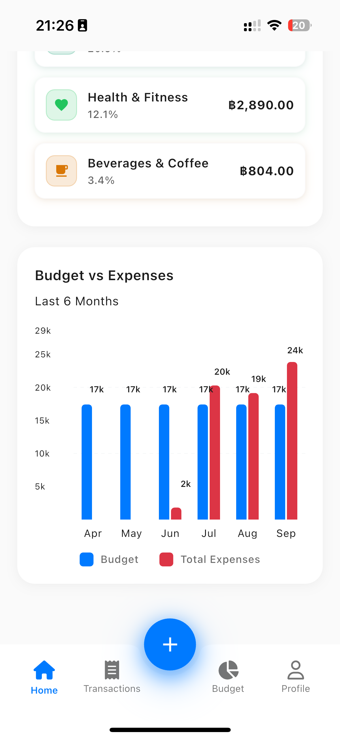 Budget Overview Light Theme